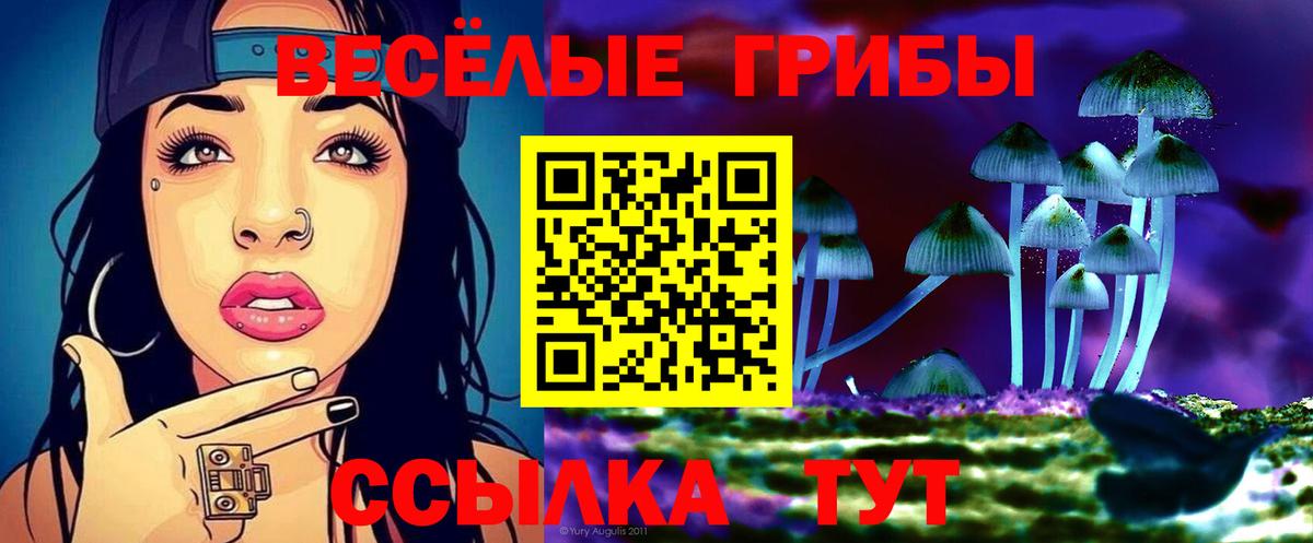 Старая Купавна  Псилоцибиновые грибы мухоморы  Вход с VPN  Псилоцибиновые грибы мицелий 
